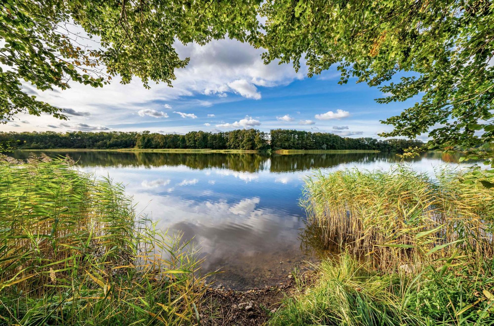 Sealove Mit Seeblick Malchow  Exterior photo